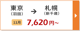 航空券