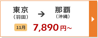 航空券