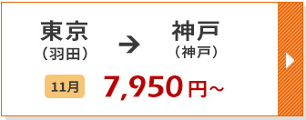 航空券