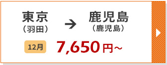 航空券