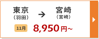 航空券