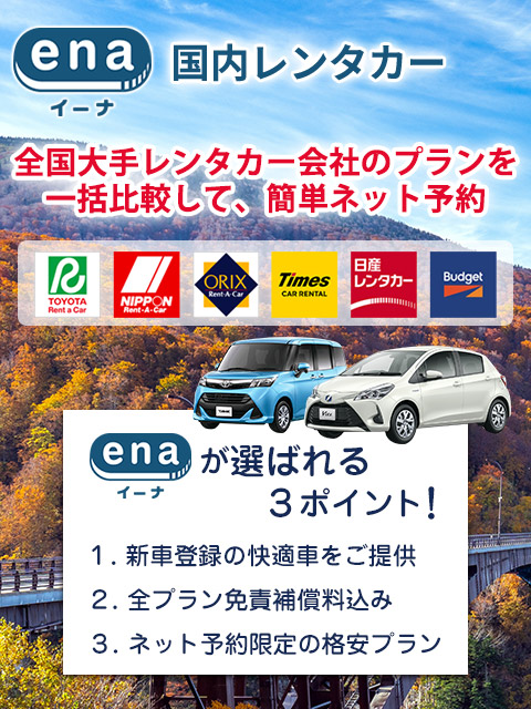 国内レンタカー