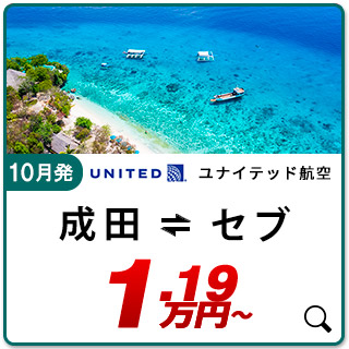 航空券