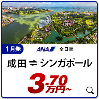 航空券