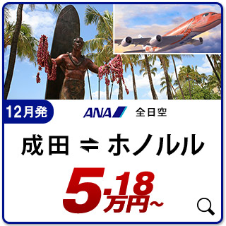 航空券