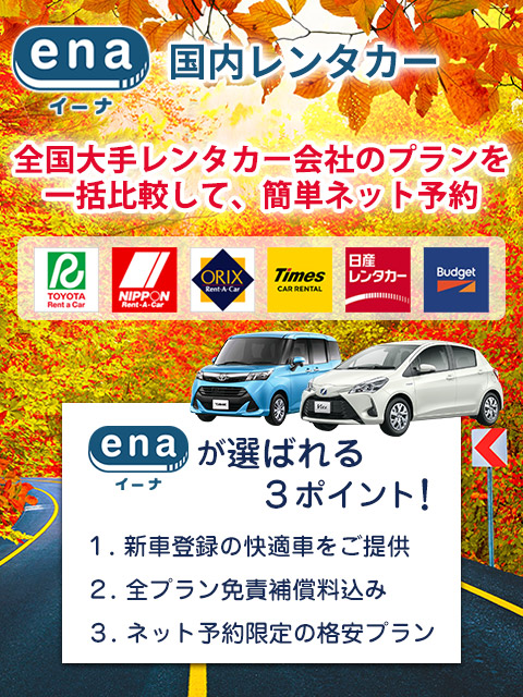 国内レンタカー