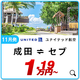航空券