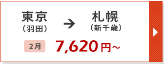 航空券