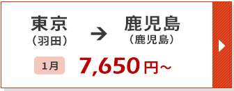 航空券