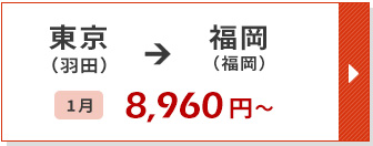 航空券