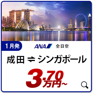 航空券