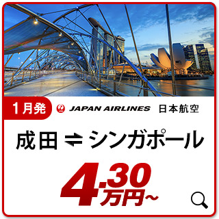 航空券