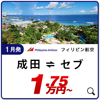 航空券