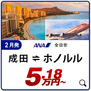 航空券