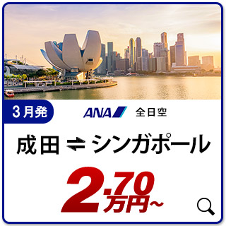 航空券
