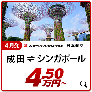 航空券