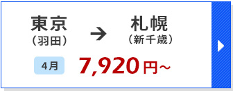 航空券