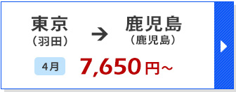 航空券