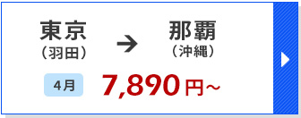 航空券