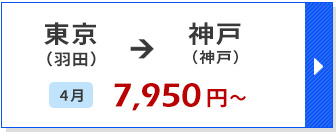 航空券