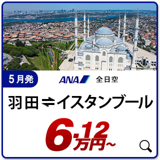 航空券
