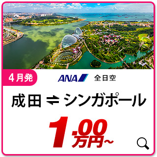 航空券
