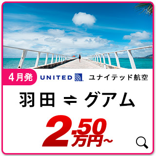 航空券