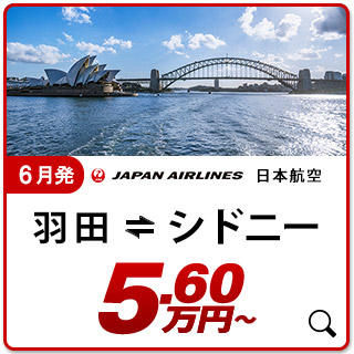 航空券