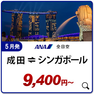 航空券