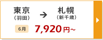 航空券