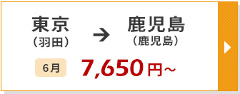 航空券