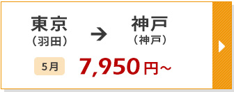 航空券