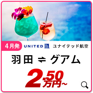 航空券