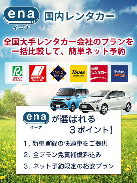 国内レンタカー