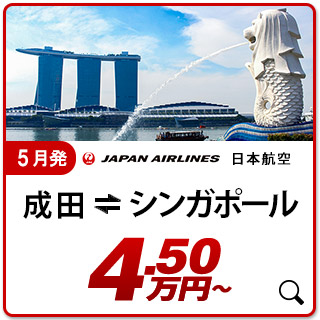 航空券