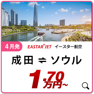 航空券