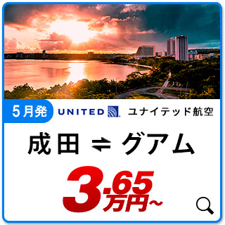 航空券