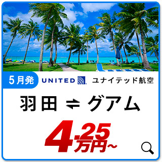 航空券