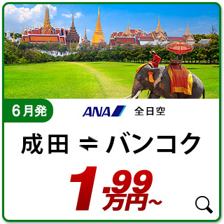 航空券