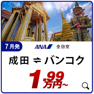 航空券