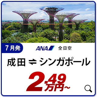 航空券