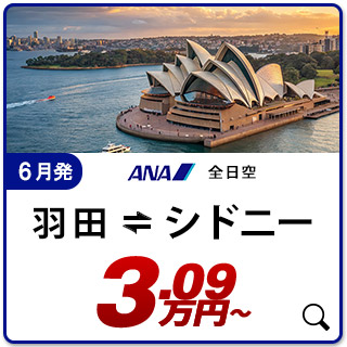 航空券