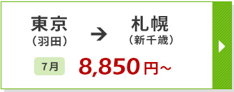 航空券