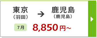 航空券