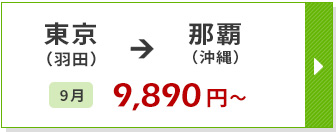航空券