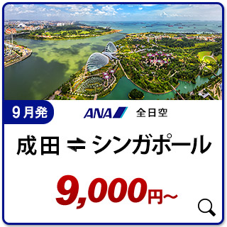 航空券