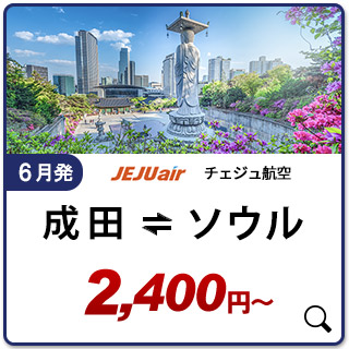 航空券