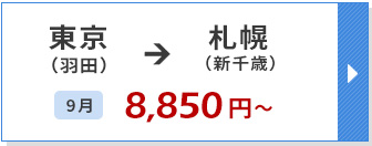 航空券