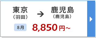 航空券