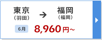 航空券